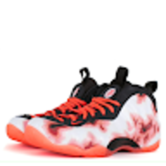 foamposites95